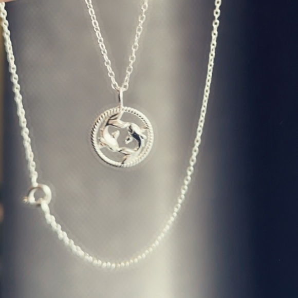 Sterling Silver Pisces Necklace - Picture 12 of 12
